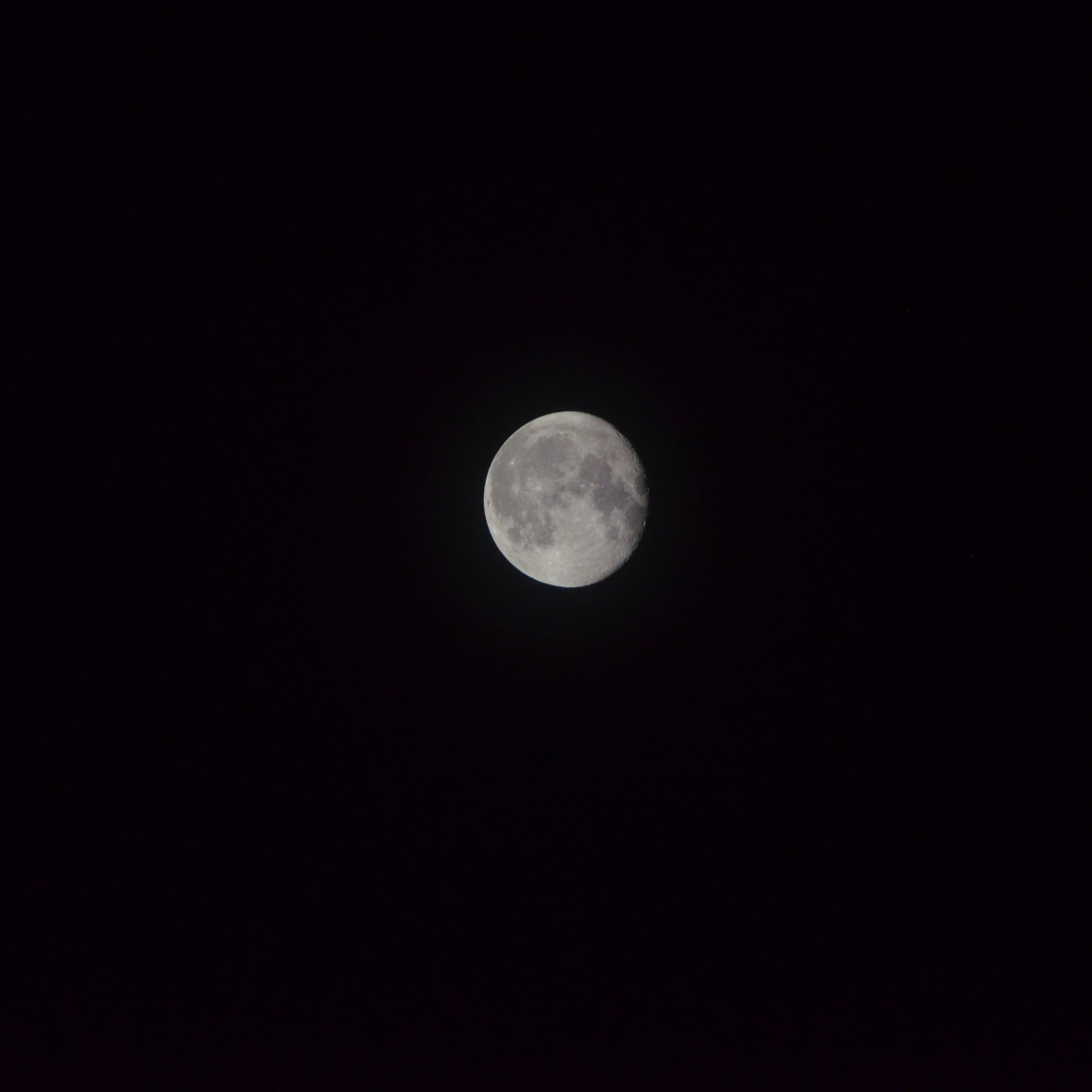 Personal Picture