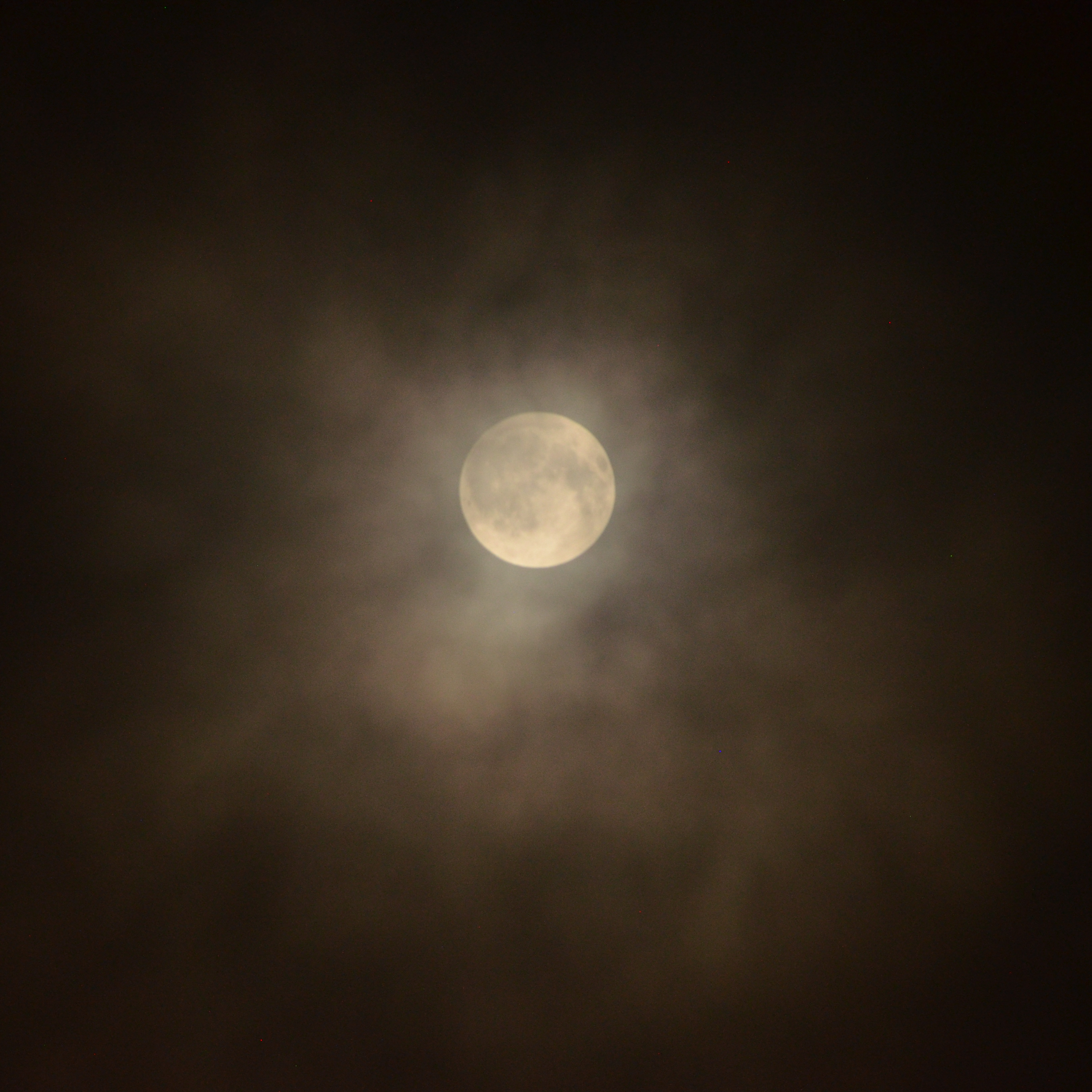 Personal Picture