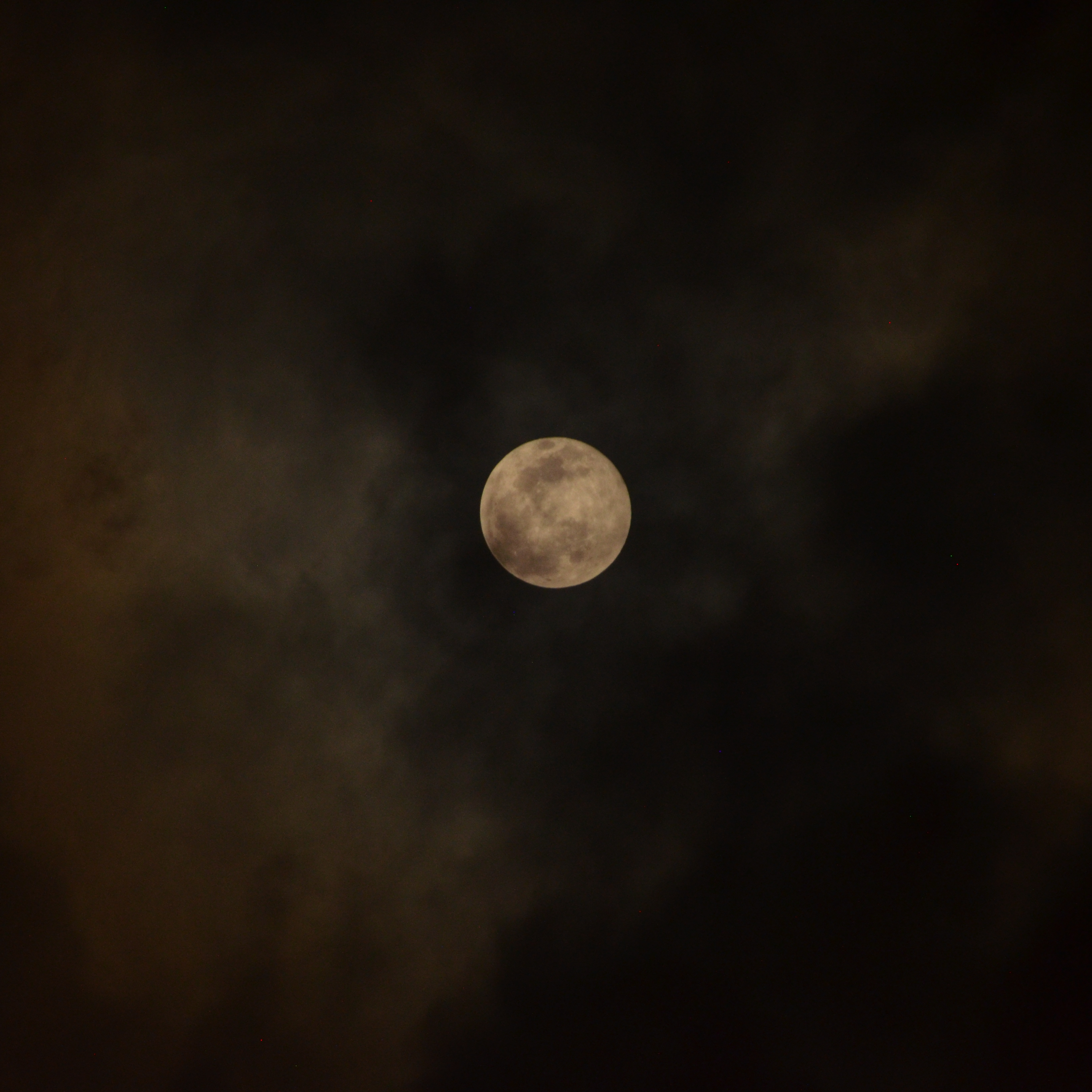 Personal Picture