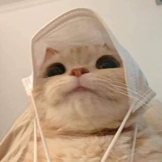 Mood