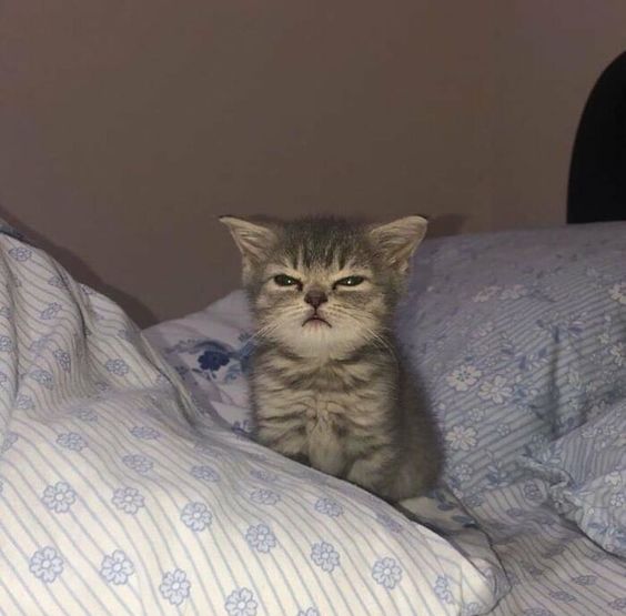Mood