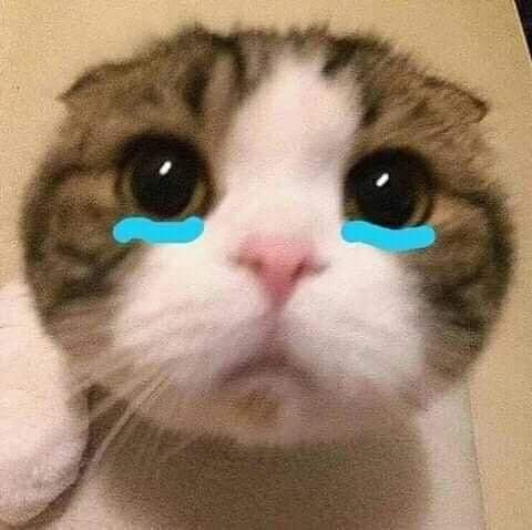 Mood